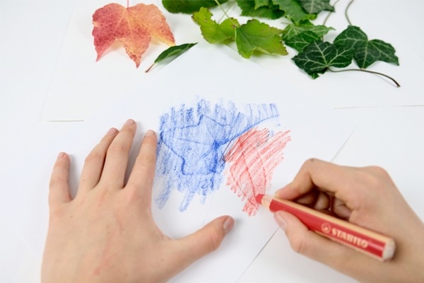 Blätterkarte – Blätter und Stifte auf einem Blatt Papier 