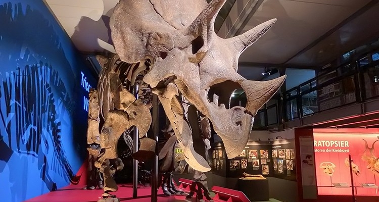 Sauriermuseum