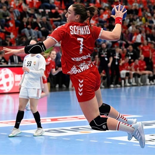 Schweizerischer Handball-Verband