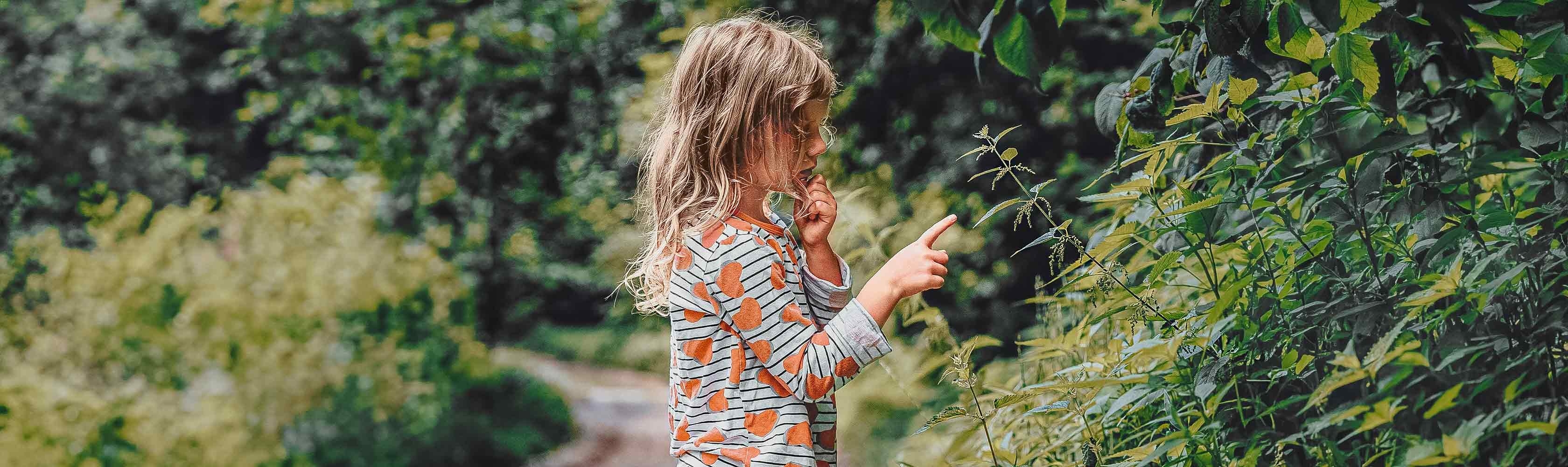 Nettles – a child stands in front of some nettles and reaches out their hand