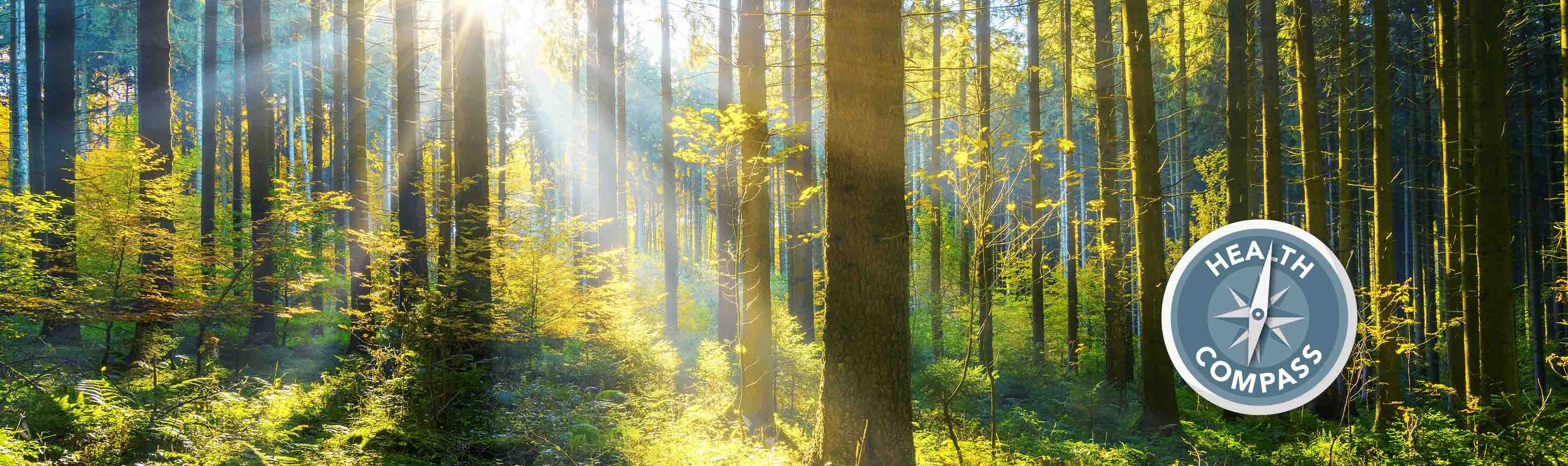  Improving mental health and diagnosing illness at an early stage