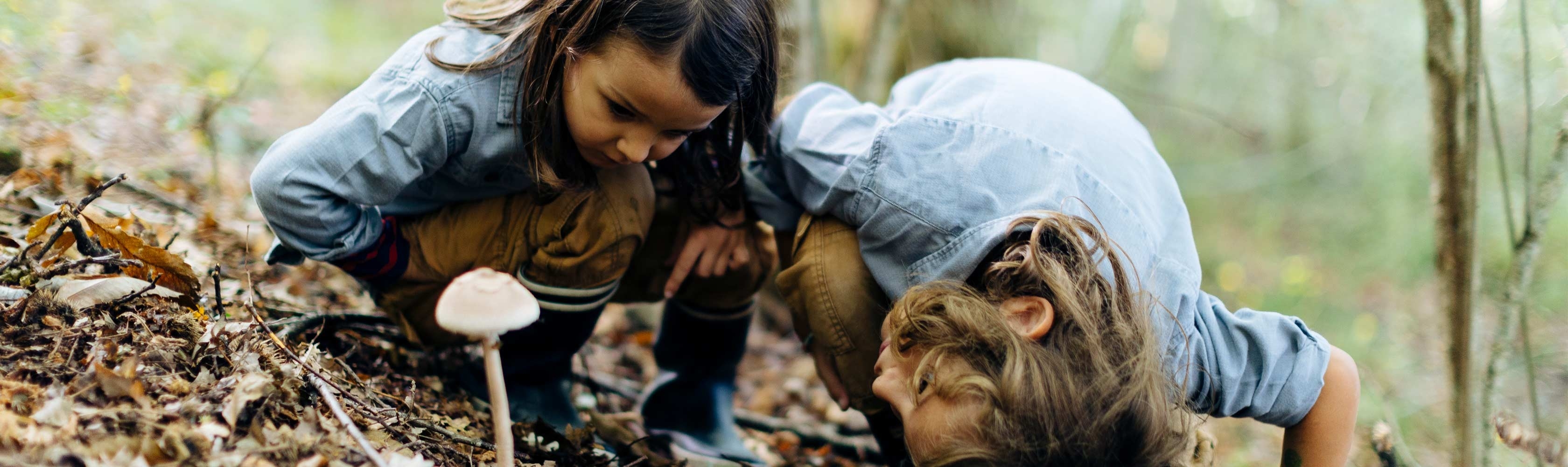 Familien-Abenteuer im Grünen – zwei Kinder im Wald begutachten einen Pilz