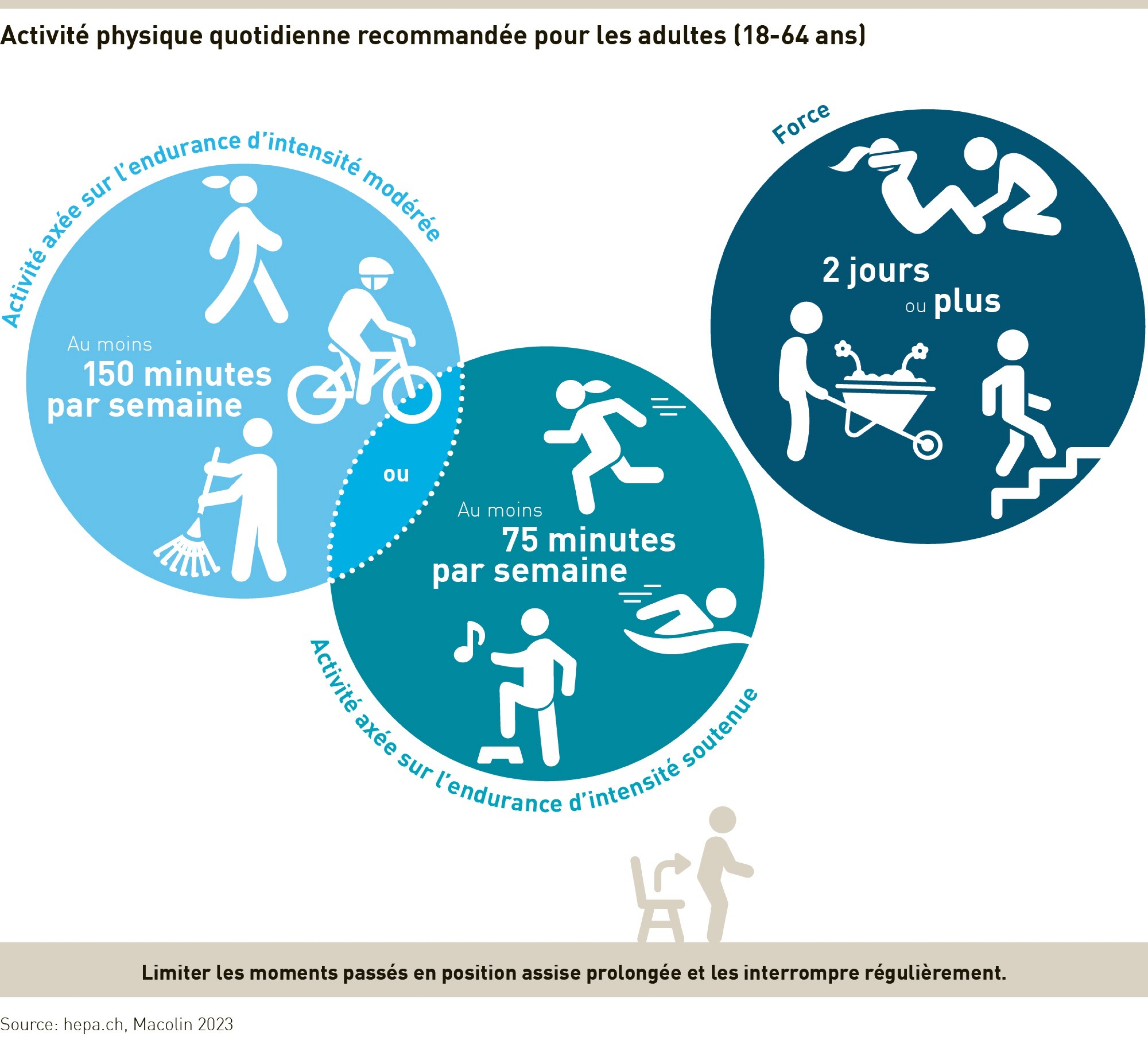 Avoir un bébé: graphique sur les recommandations quotidiennes d’activités physiques pour les adultes.