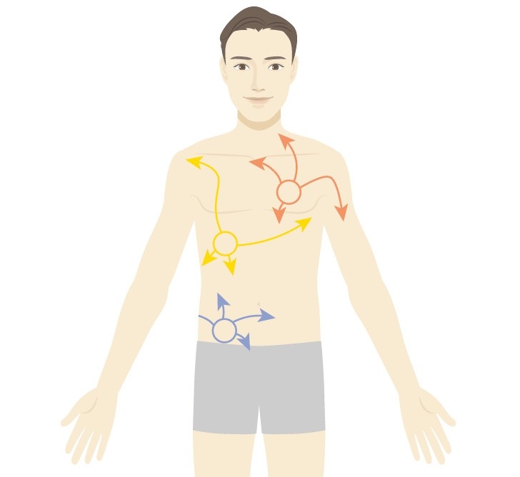 Illustration des zones de douleur des calculs biliaires : région supérieure droite de l'abdomen, épaule droite et dos