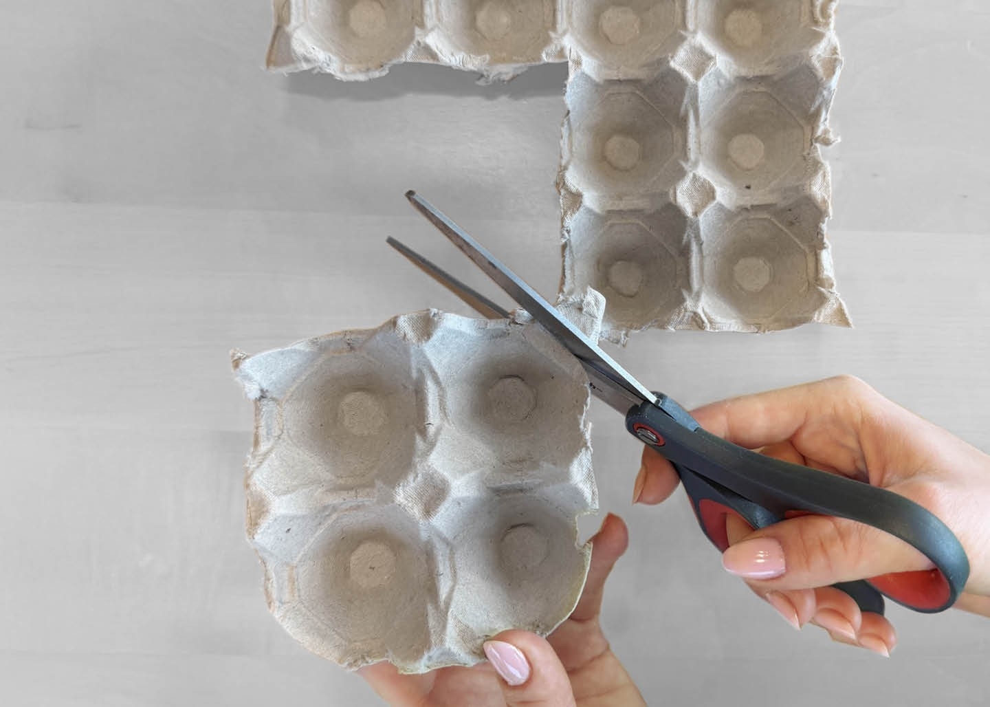 Eierkarton-Blumen – Eierkartons ausschneiden