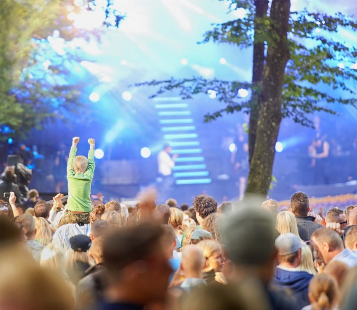 Concorso per famiglie - Bambino sulle spalle a un concerto