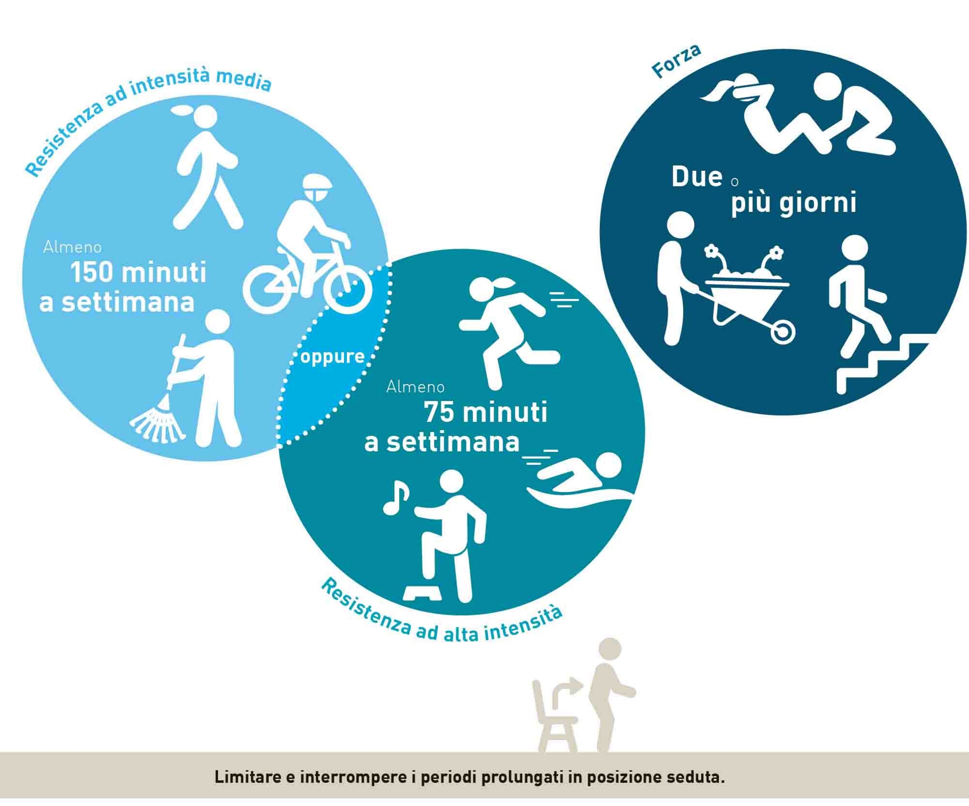 Procreazione: grafico sulle raccomandazioni di movimento per persone adulte