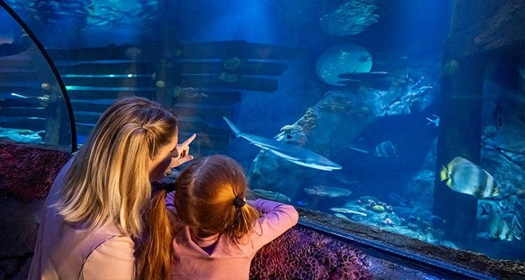 SEA LIFE, Konstanz