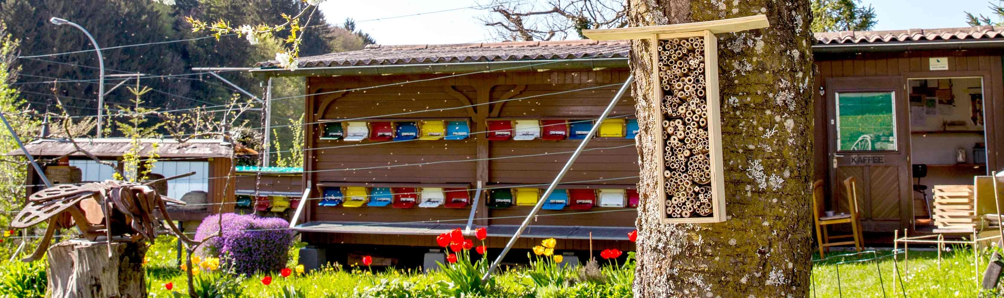 Hotel sull'albero per api selvatiche fai da te