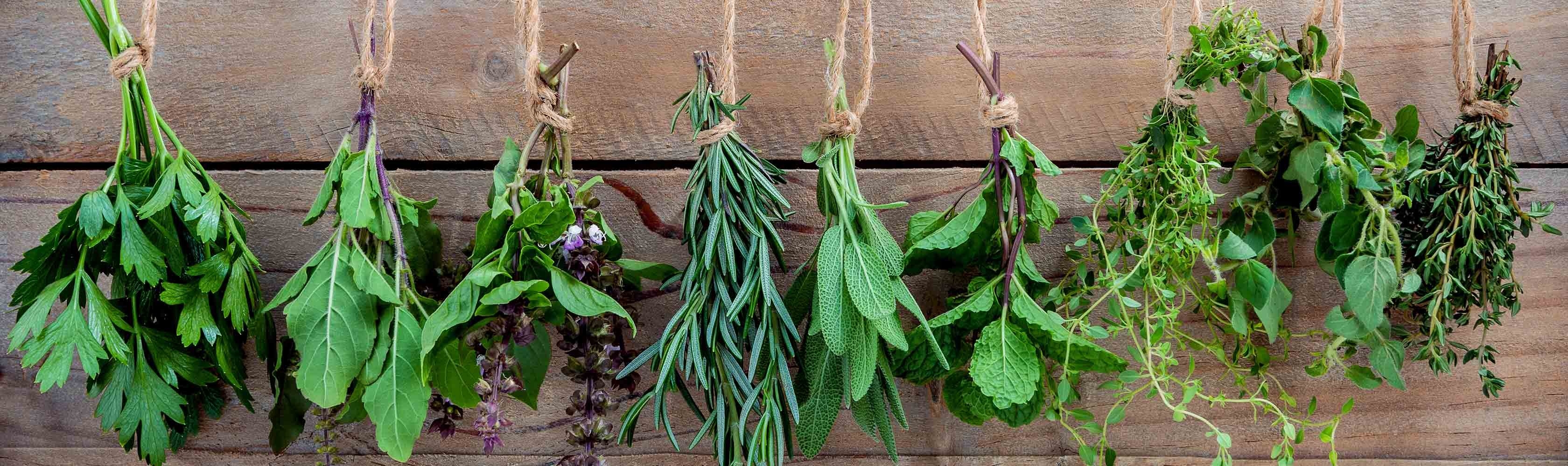 Trasformate le vostre ricette in una festa di sapori. Tutti i giorni o in occasioni speciali. E riscoprite il gusto autentico delle erbe aromatiche locali.