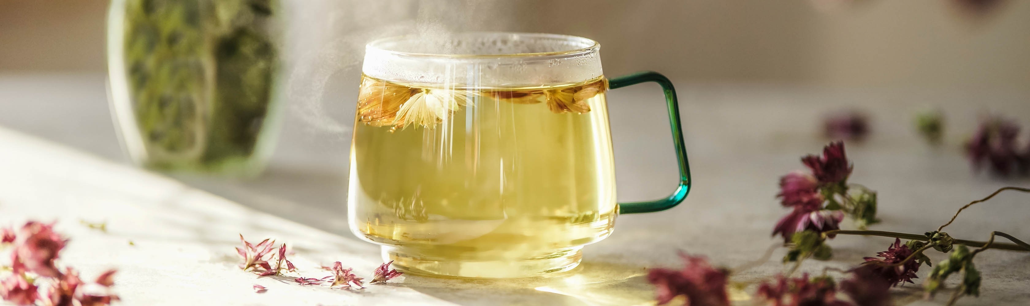 Heilkräuter aus der Natur Die Kraft von Kräutertees in der Hausapotheke CONCORDIA