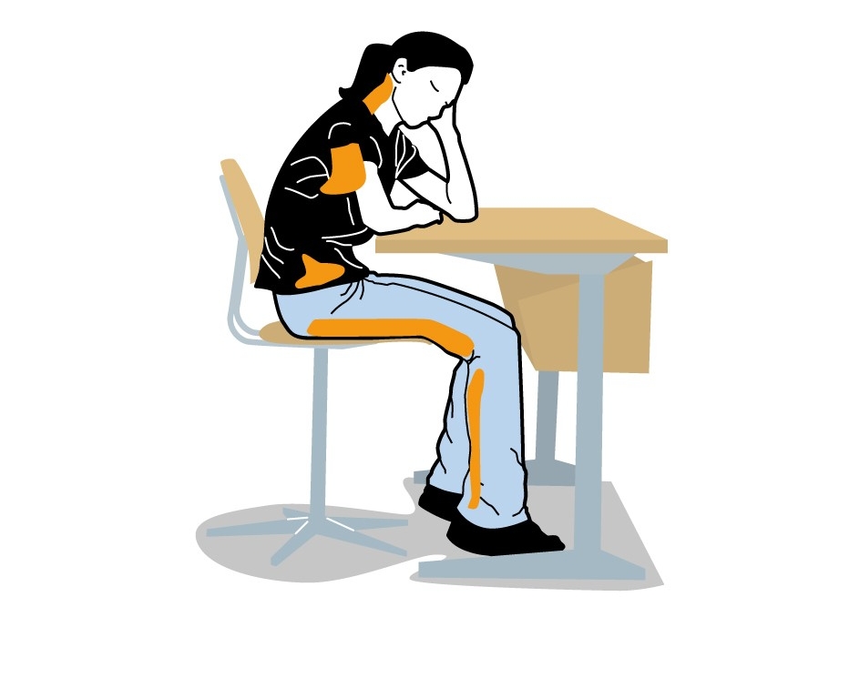 L’illustration montre une personne assise à un bureau. En cas de position assise prolongée, les muscles indiqués en orange ont tendance à se raccourcir et à se contracter.