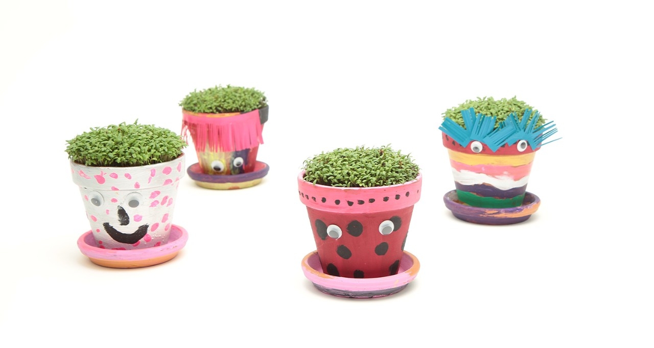 Pots de fleurs décorés avec des yeux mobiles