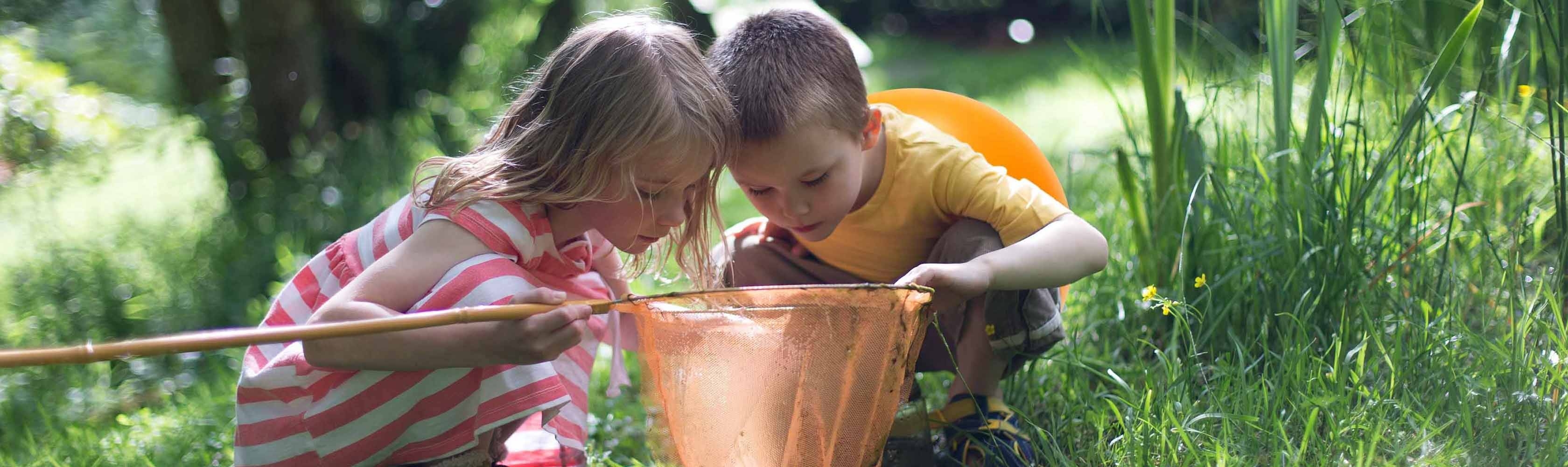 Deux enfants observent des animaux et des plantes dans une épuisette