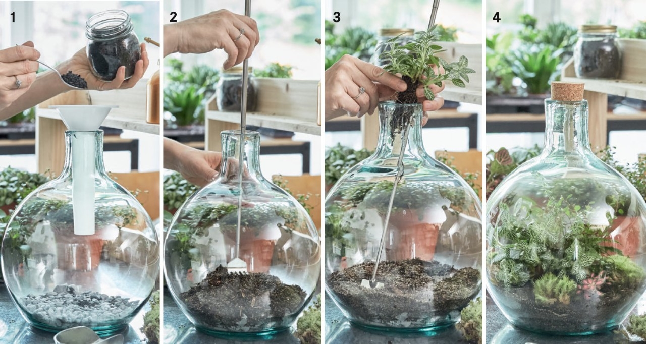 concordia conci blog jardin en bouteille concordia